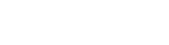Action Plumbing Sewer & Drain Logo