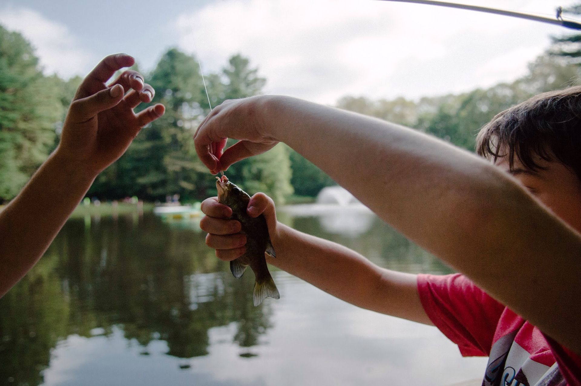 A person is holding a fish in their hand next to a lake.
