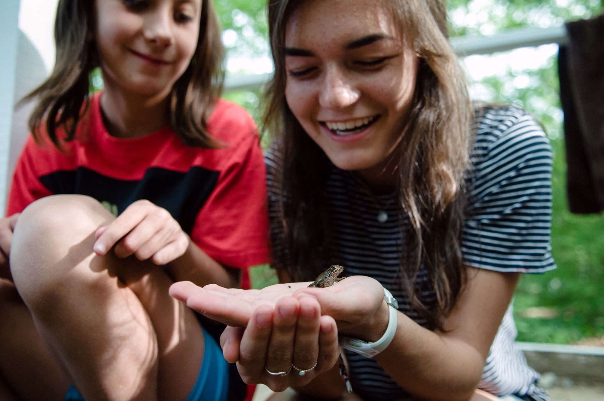 Two young girls are looking at a lizard in their hands.