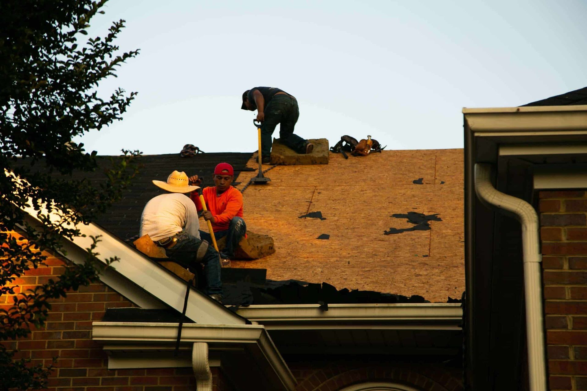 Three roofers working on a rooftop, removing old shingles.