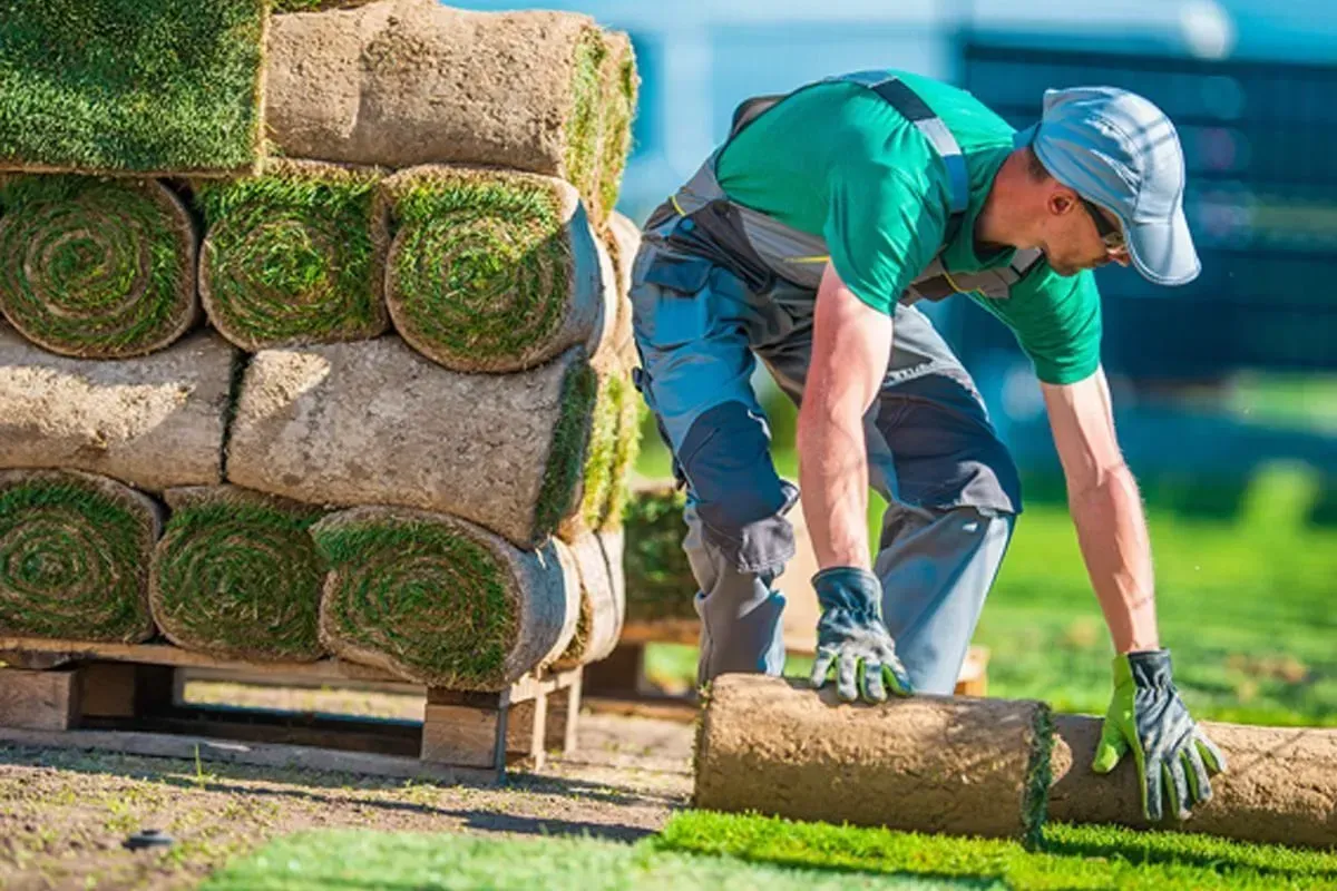 Man installing sod rolls outdoors, near a stack of rolled turf.