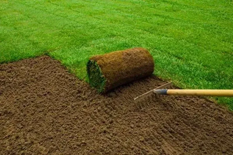 A roll of sod beside prepared soil, a rake rests nearby, and green grass in the background.