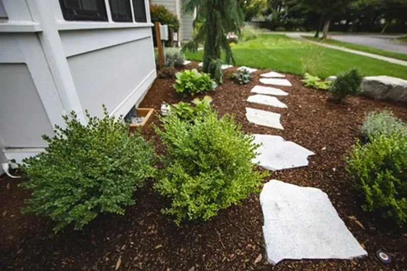 Stone pathway through a landscaped yard with green bushes and mulch.