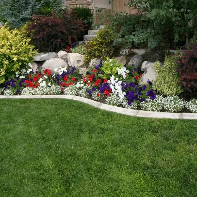 Lush green lawn with a curved edge bordering a rock garden with colorful flowers and shrubs.