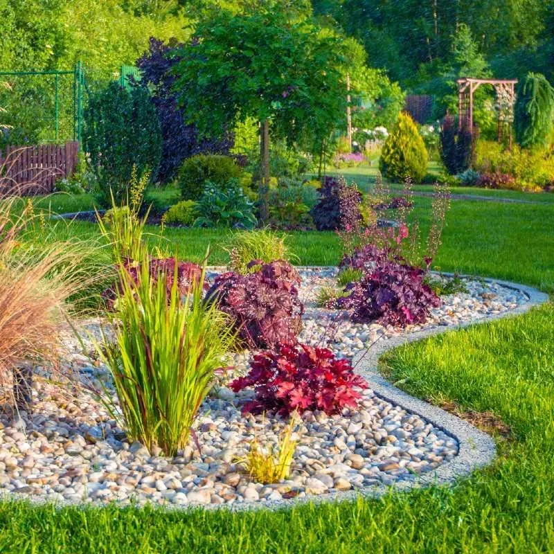Colorful garden bed with various plants, outlined with rocks, surrounded by green grass.