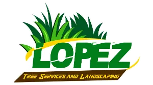 Logo for Lopez Tree Services and Landscaping: green grass, the name "LOPEZ" in large green letters, and text "Tree Services and Landscaping".