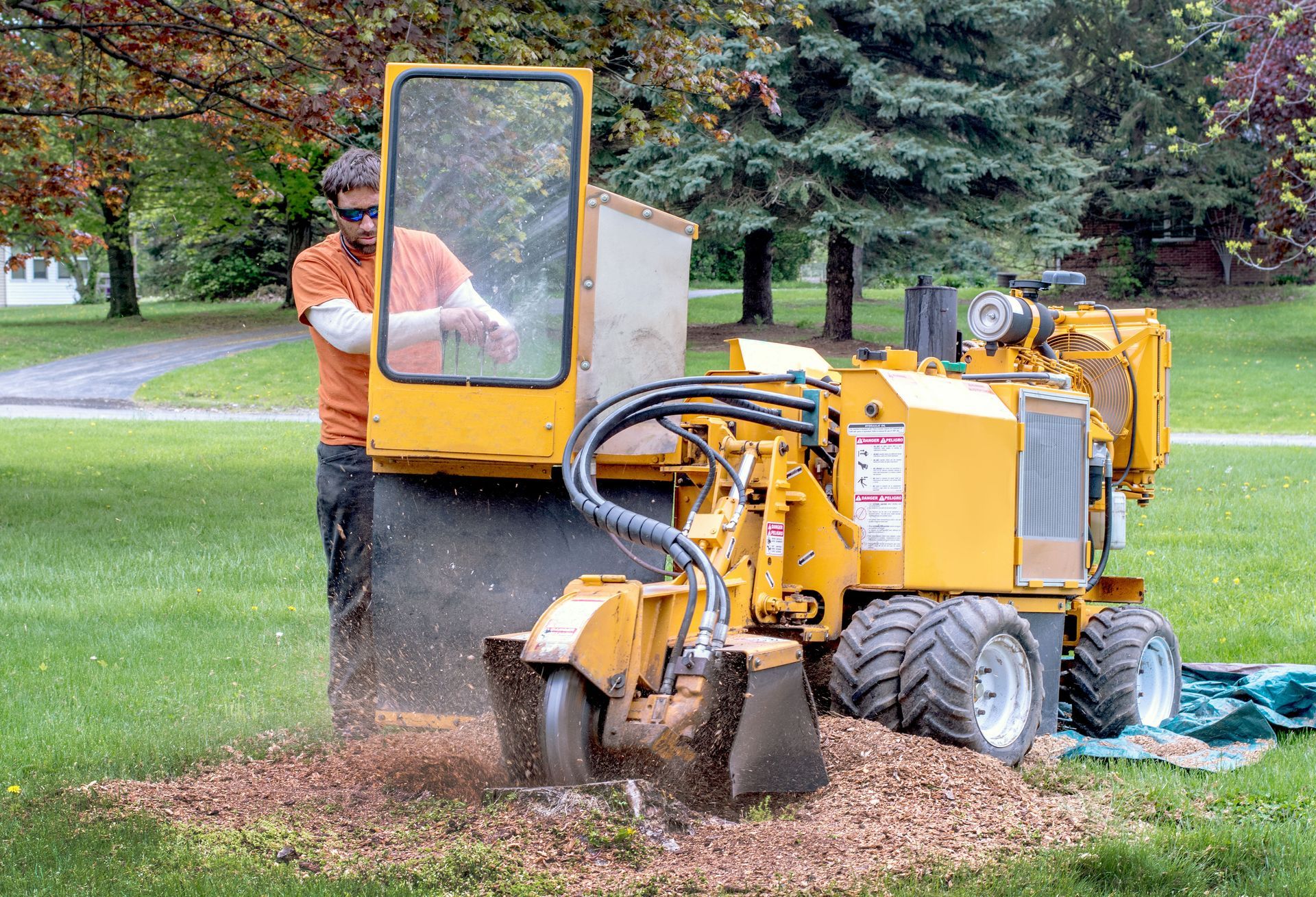 Man operating a yellow stump grinder on a grassy lawn; wood chips and dust flying.