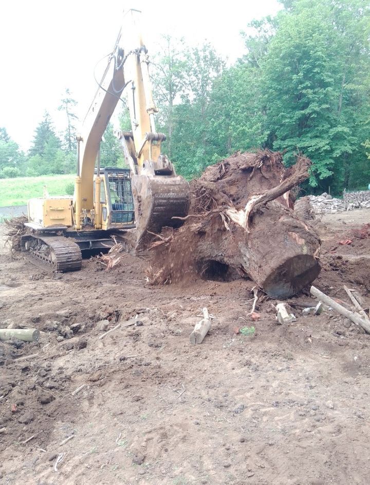 A large tree stump is being removed by an excavator.