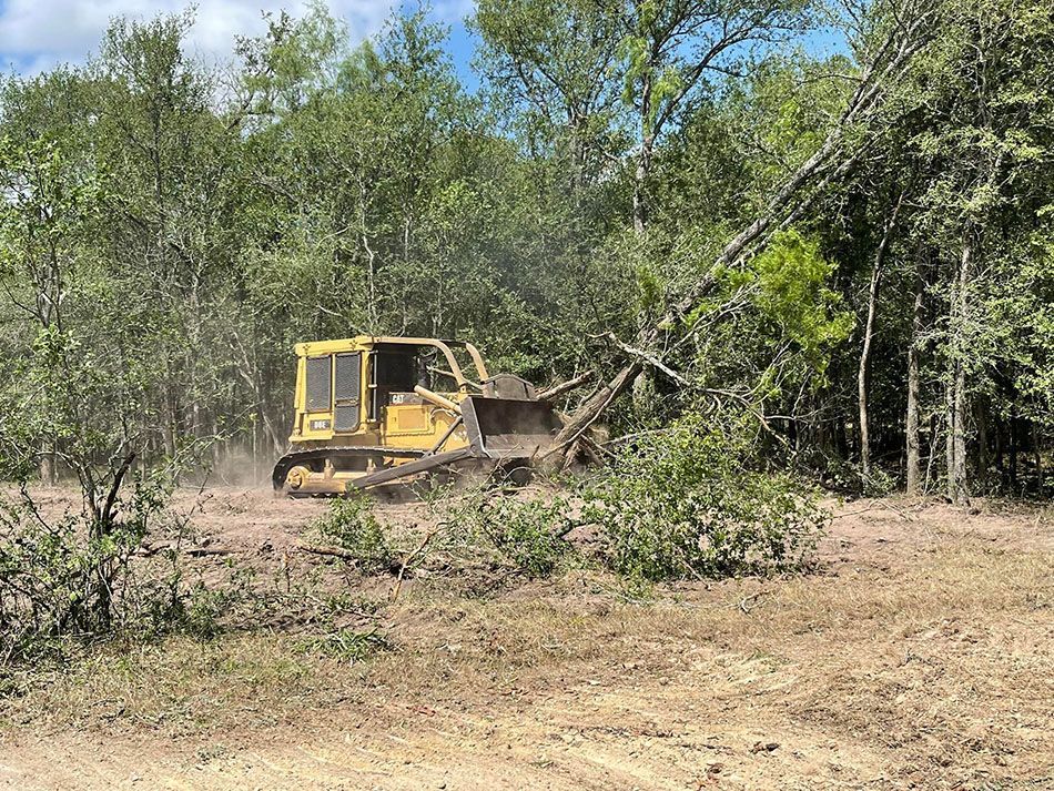 A bulldozer is cutting down trees in a field.