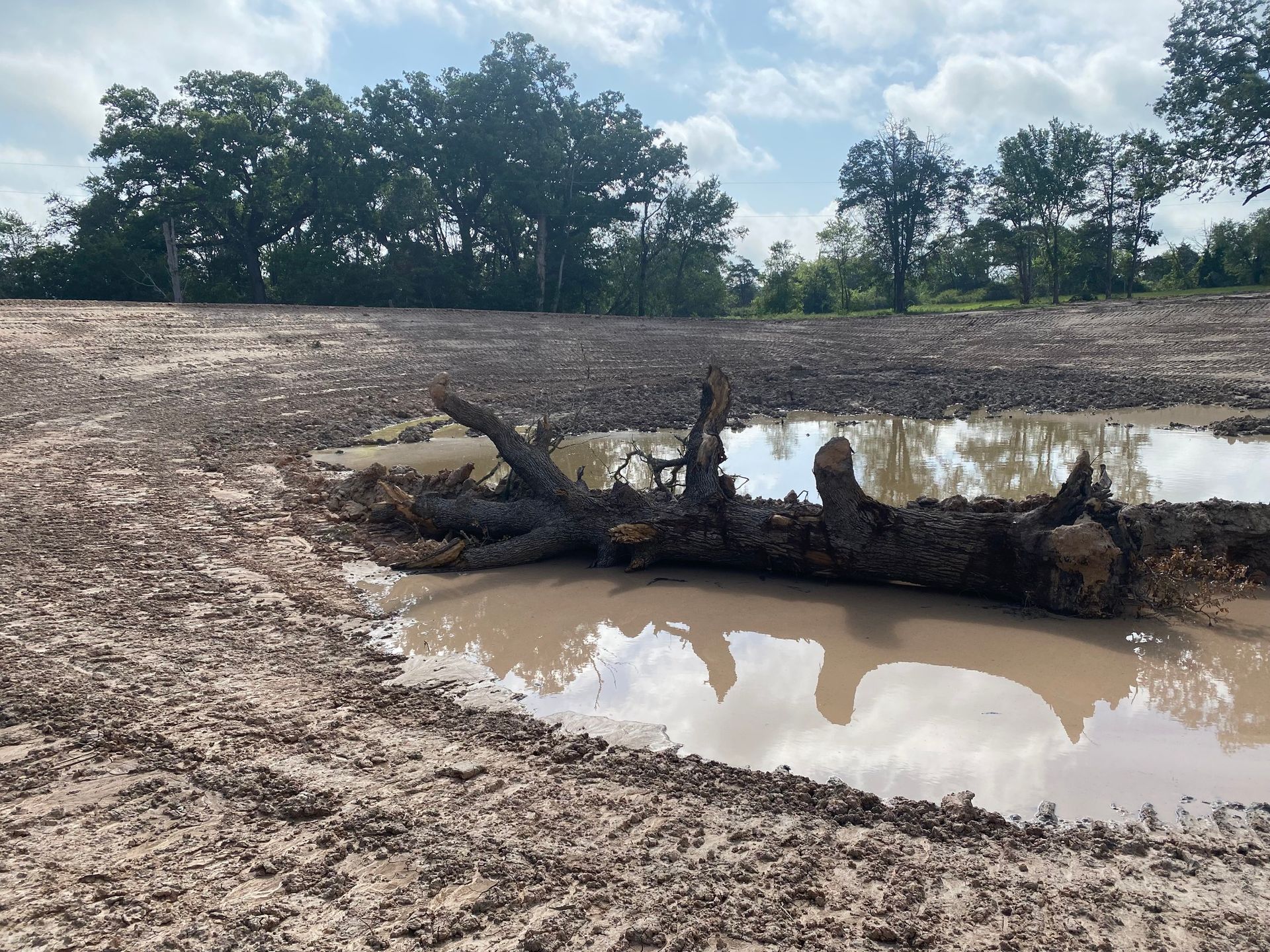 A log is laying in a puddle of water in the middle of a dirt field.