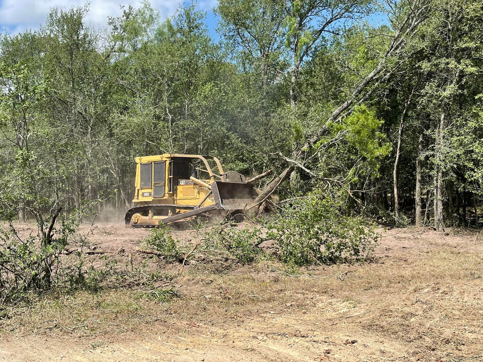 A bulldozer is cutting down trees in a field.