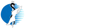 Dr. David Potash Podiatric Medicine & Surgery-Logo