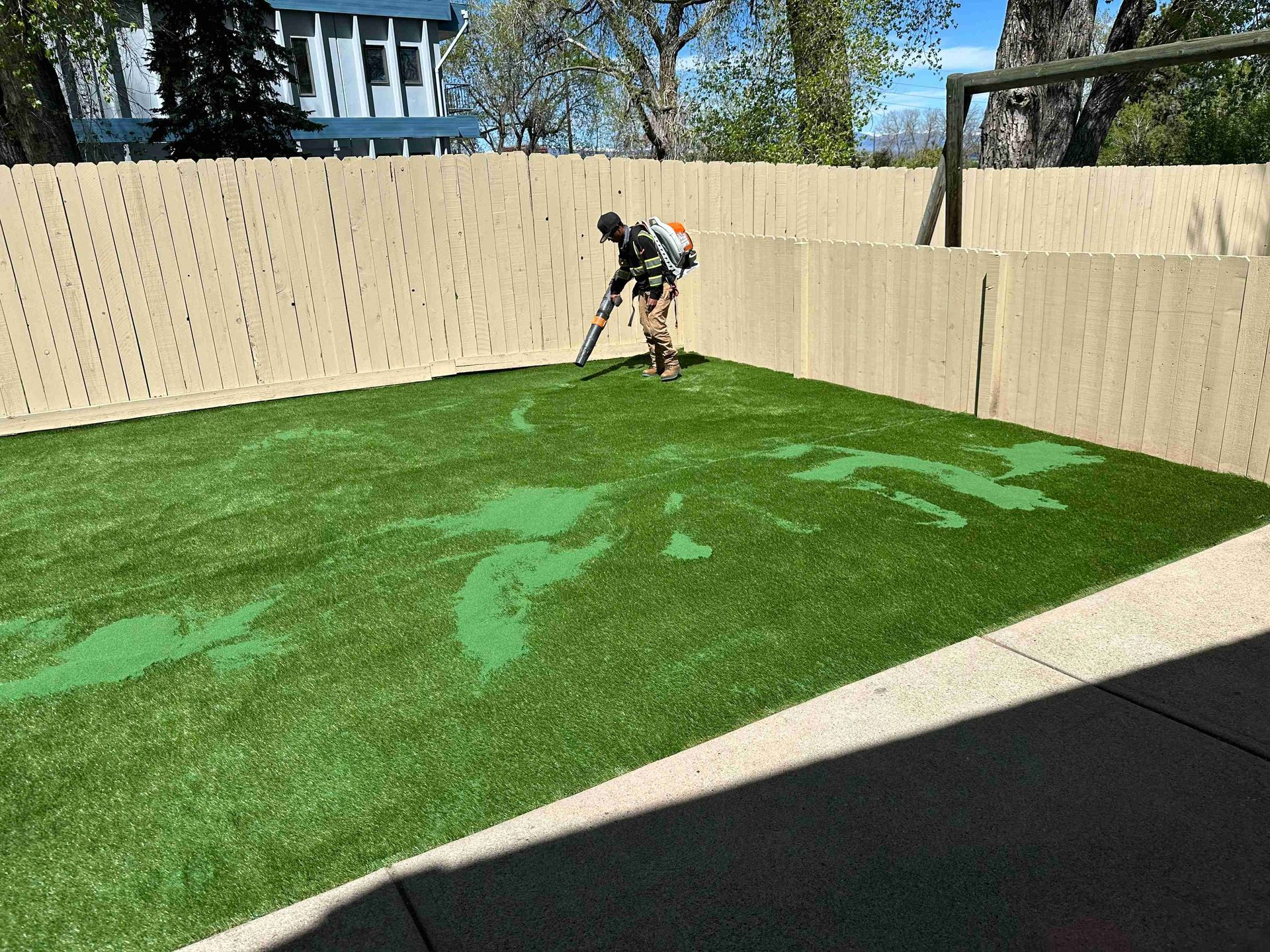 Person watering a green lawn in a fenced backyard on a sunny day
