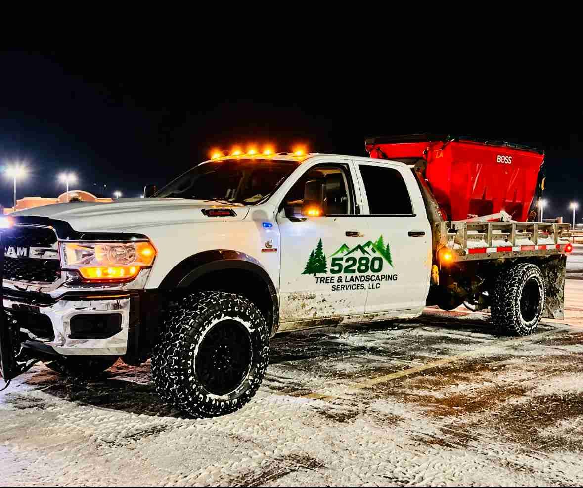 White pickup truck with plow and red dump bed parked on snowy ground at night