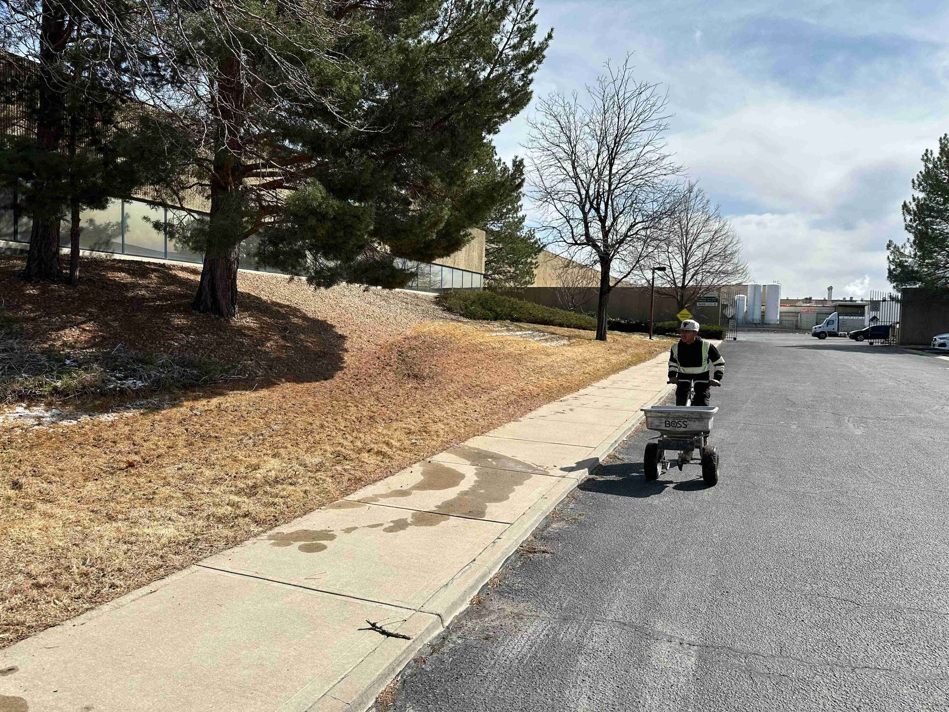 Sidewalk beside a road with two small robots on the pavement near grass and trees.