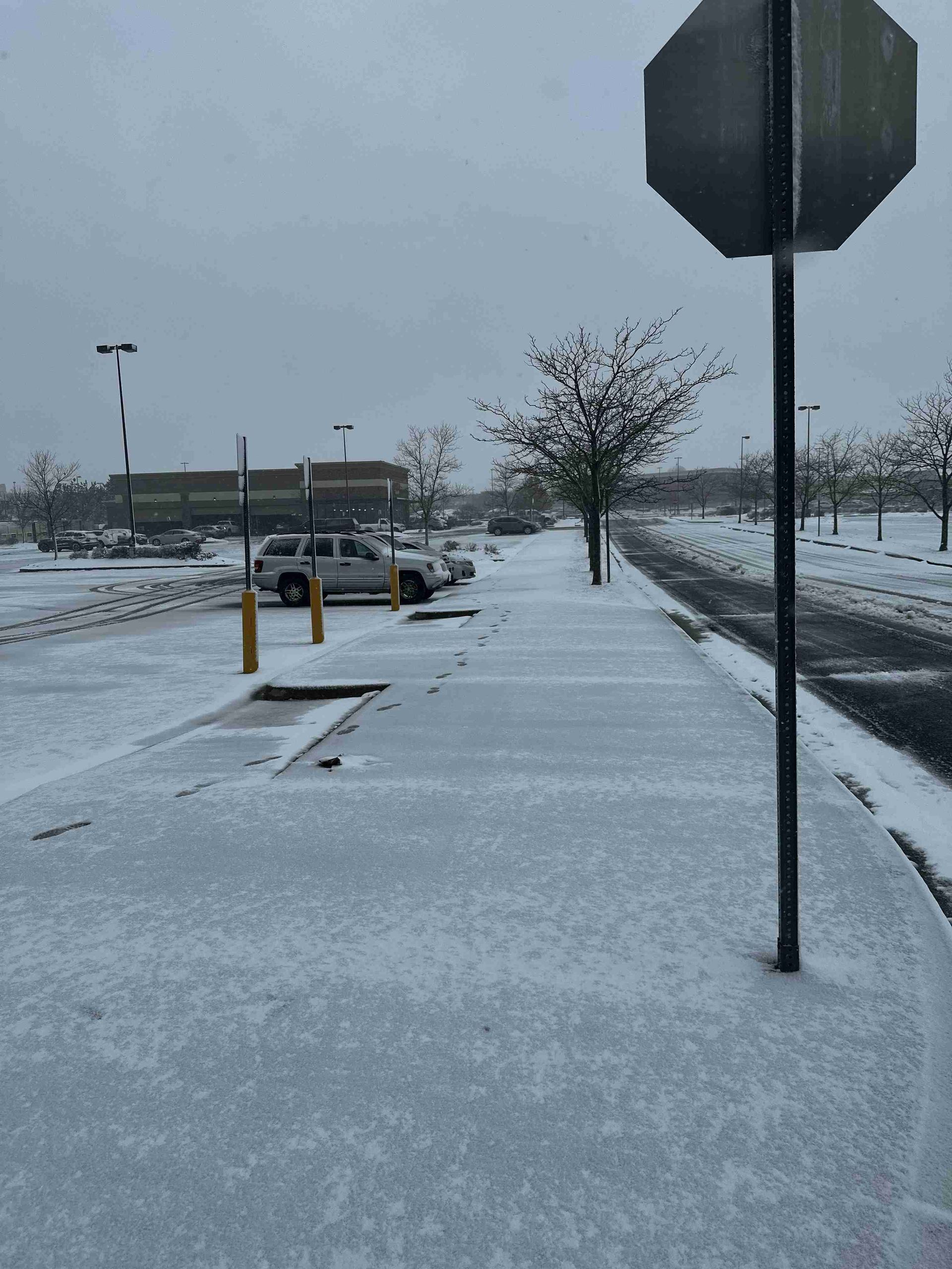 Snow-covered parking lot and sidewalk with a parked car, stop sign, and bare trees on an overcast day