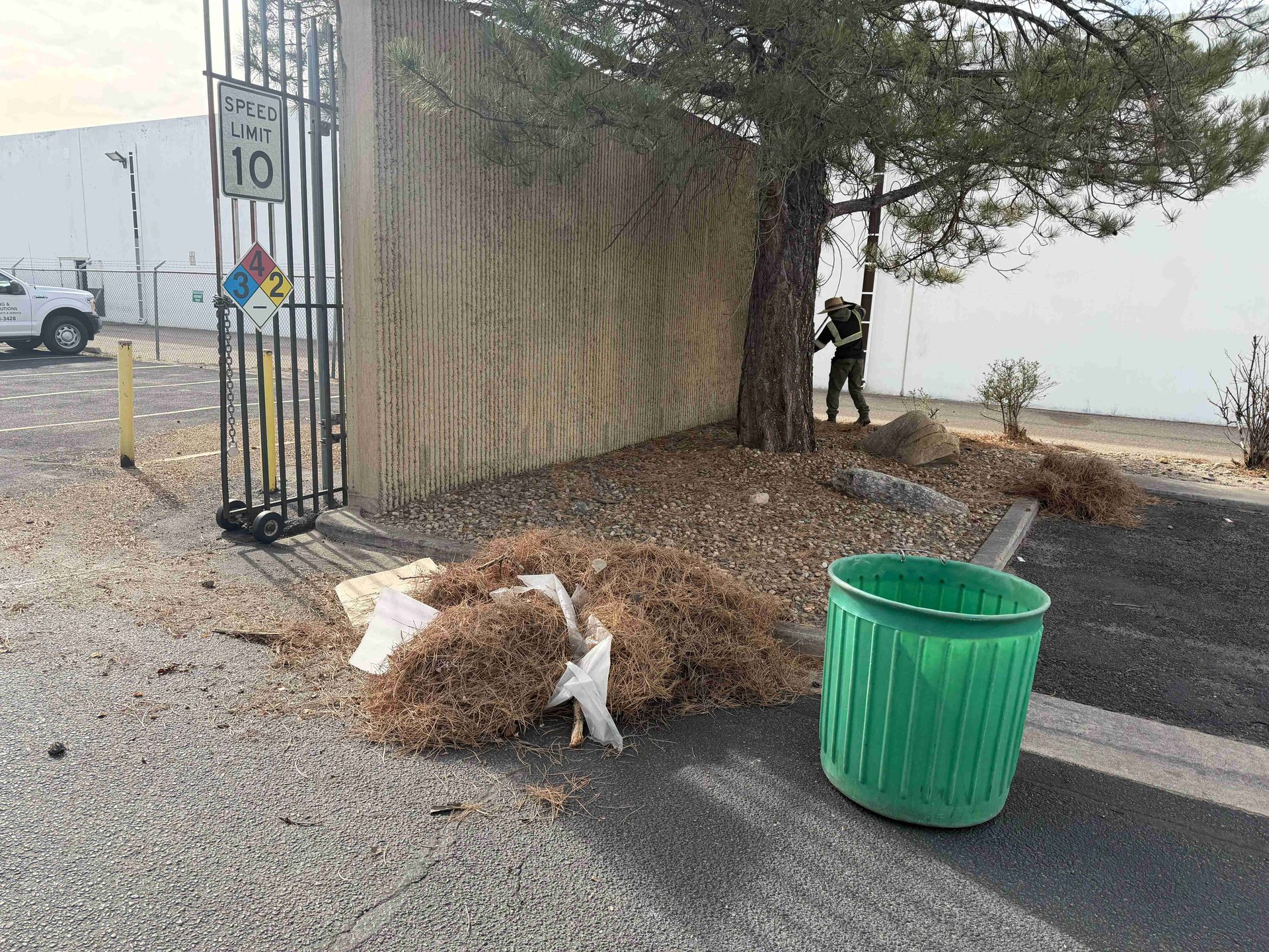Outdoor roadside scene with a green trash bin, piled yard debris, and a fence near a tree.