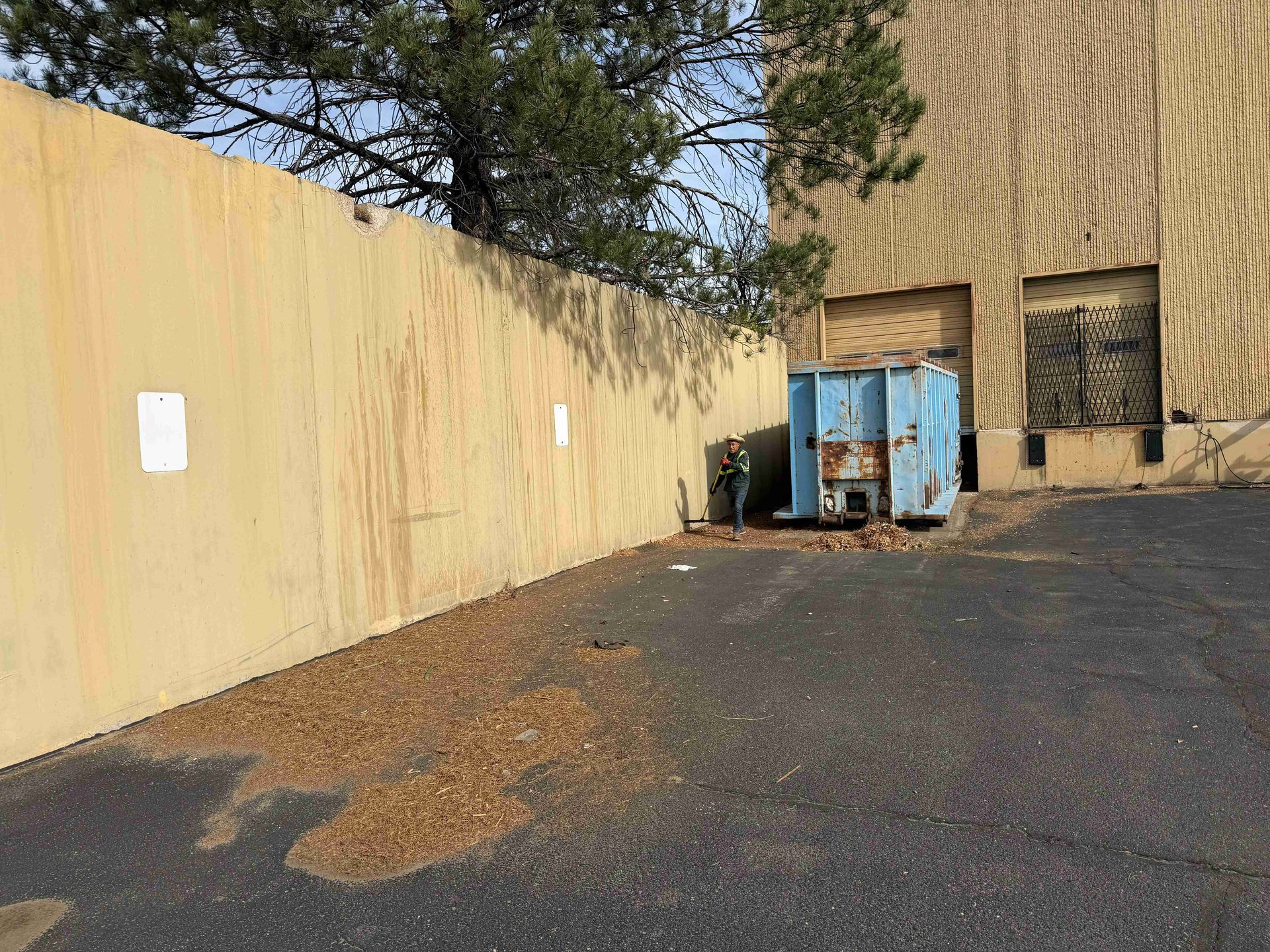 Empty asphalt lot beside a tan wall, with blue dumpsters near a building and trees overhead.