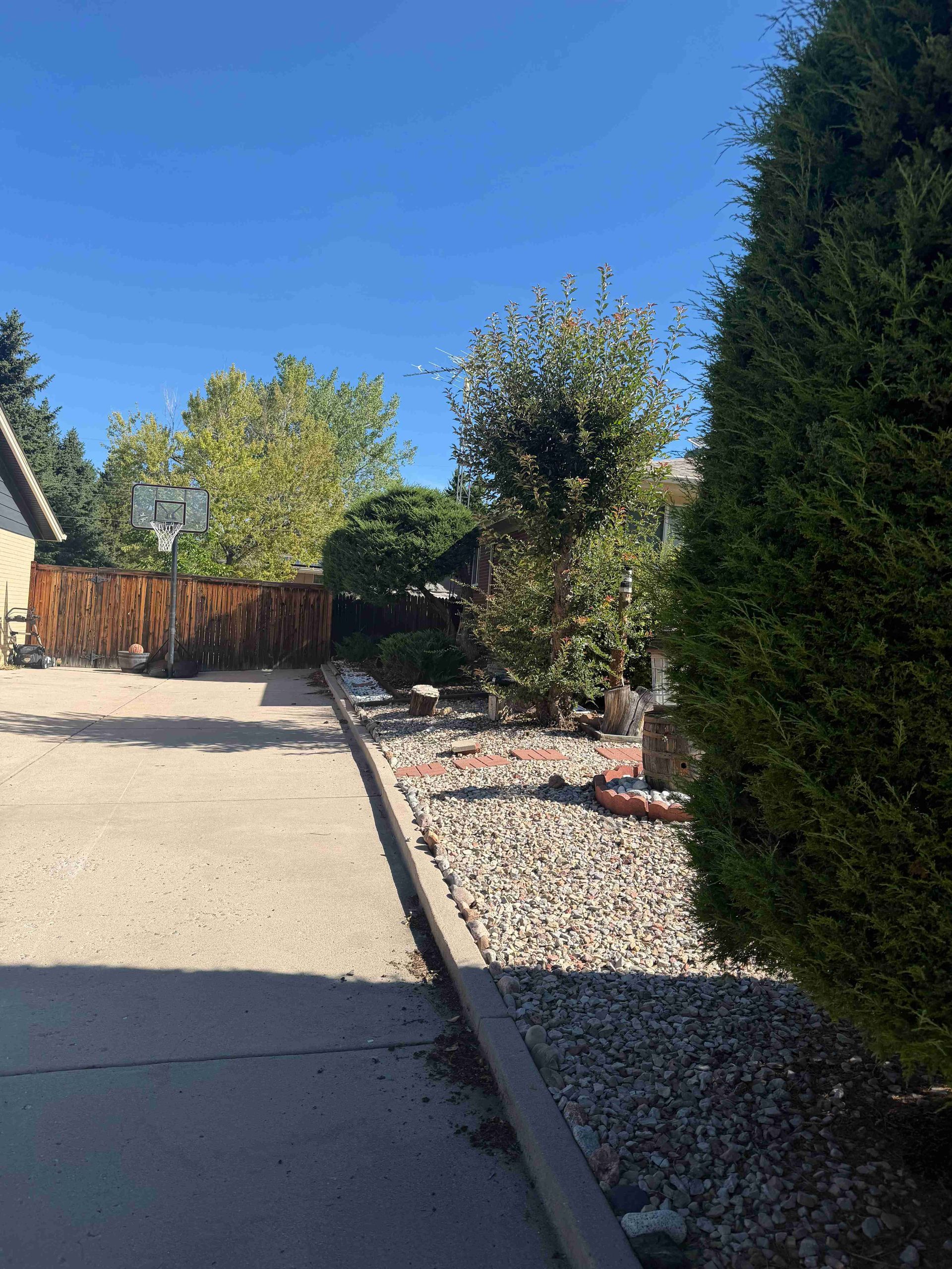 Driveway beside a gravel garden border, with trees and a wooden fence under a clear blue sky.