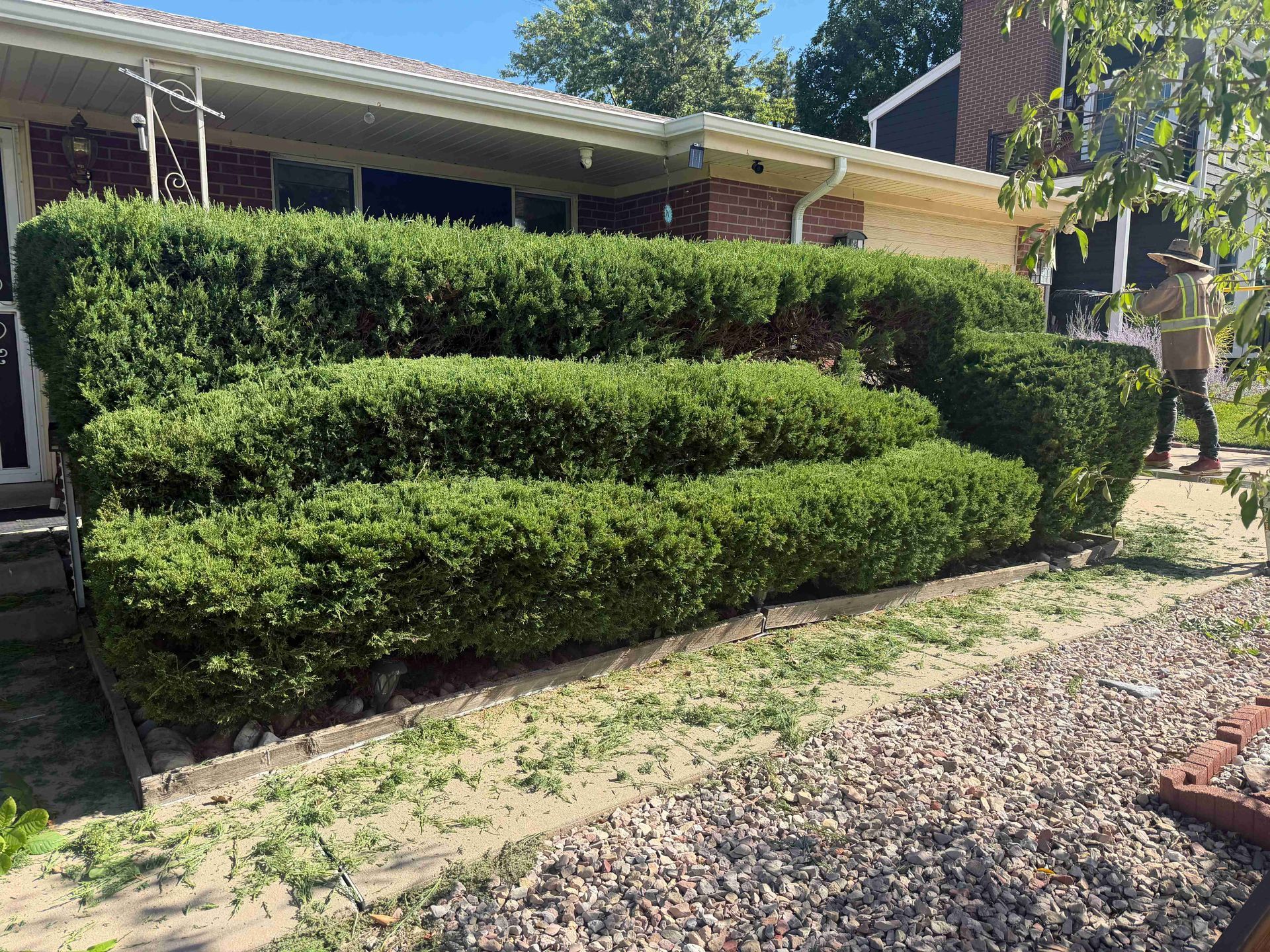 Trimmed green hedges in front of a house with a covered porch and gravel yard.