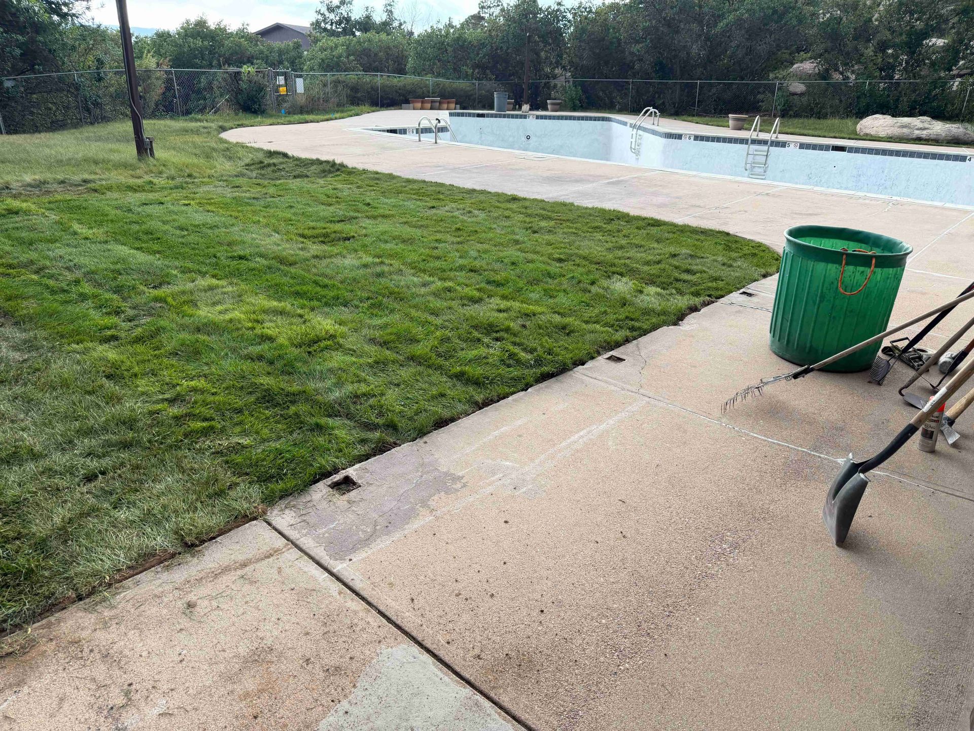 Outdoor pool with grass lawn, concrete deck, and a green trash can near poolside equipment