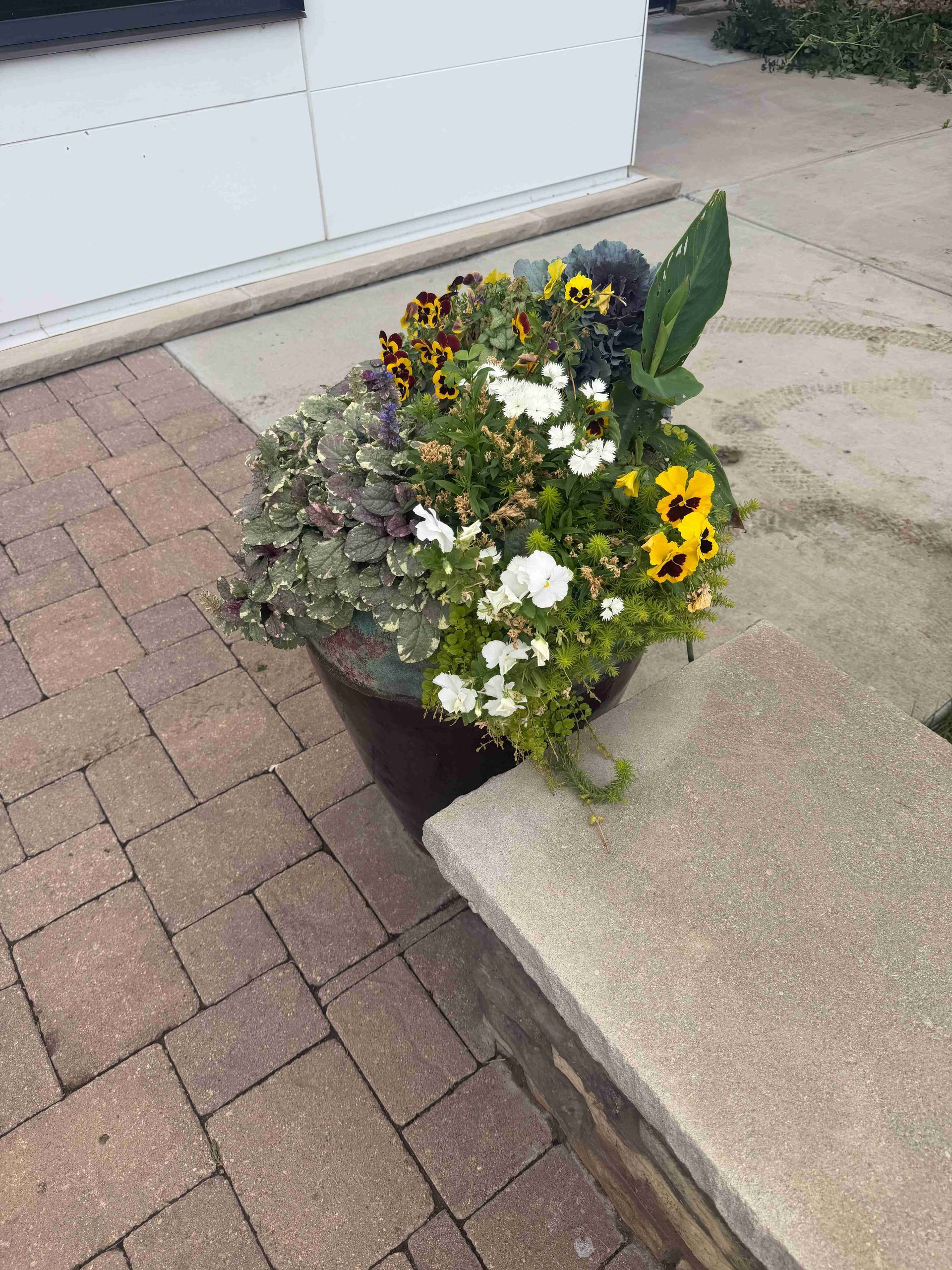 Potted flowers in white, yellow, and purple beside a brick walkway and concrete curb
