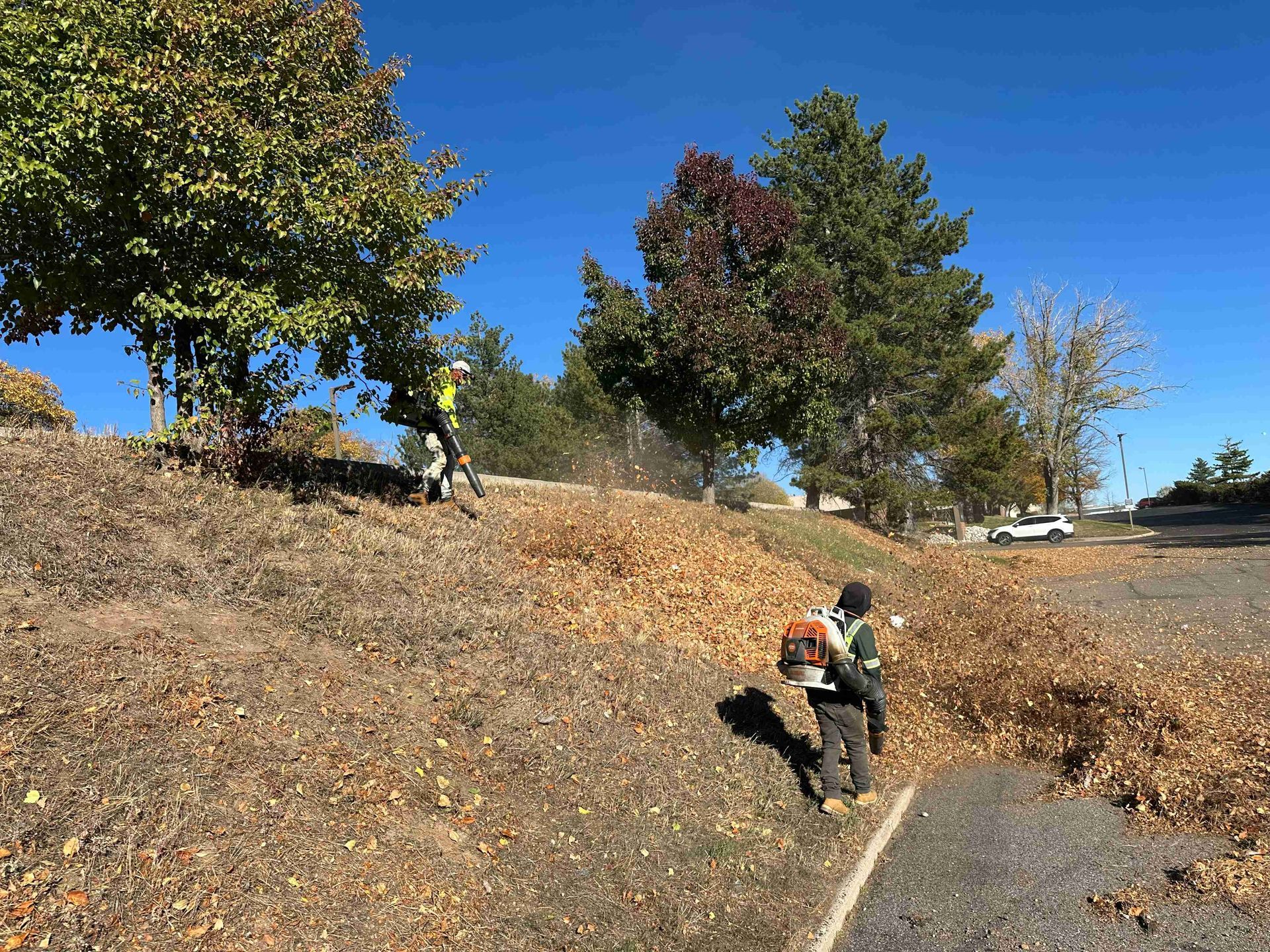 Person carrying a large backpack climbs a dry, leaf-covered slope under a blue sky.