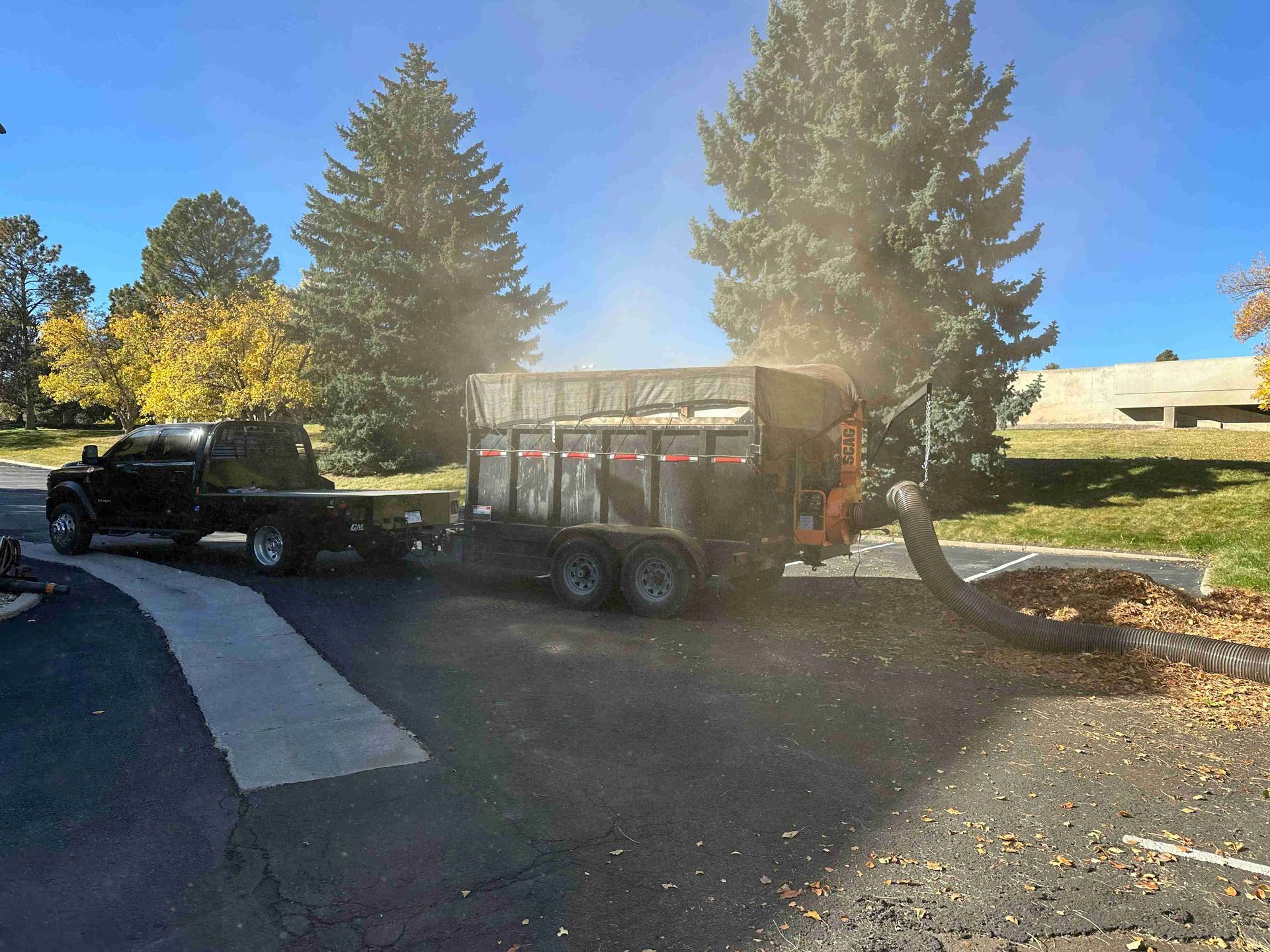 Black pickup towing a small trailer on a driveway beside tall trees in bright sunlight