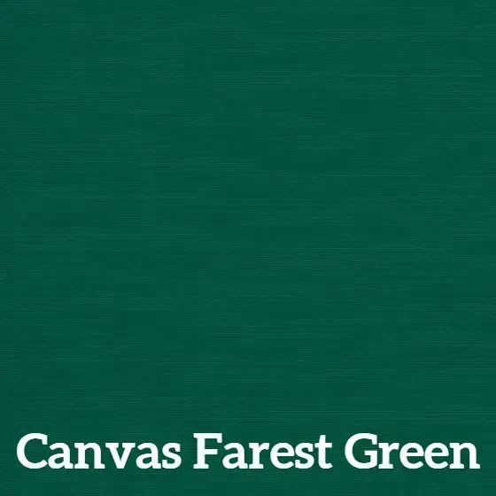 Solid Canvas Forest Green color sample.