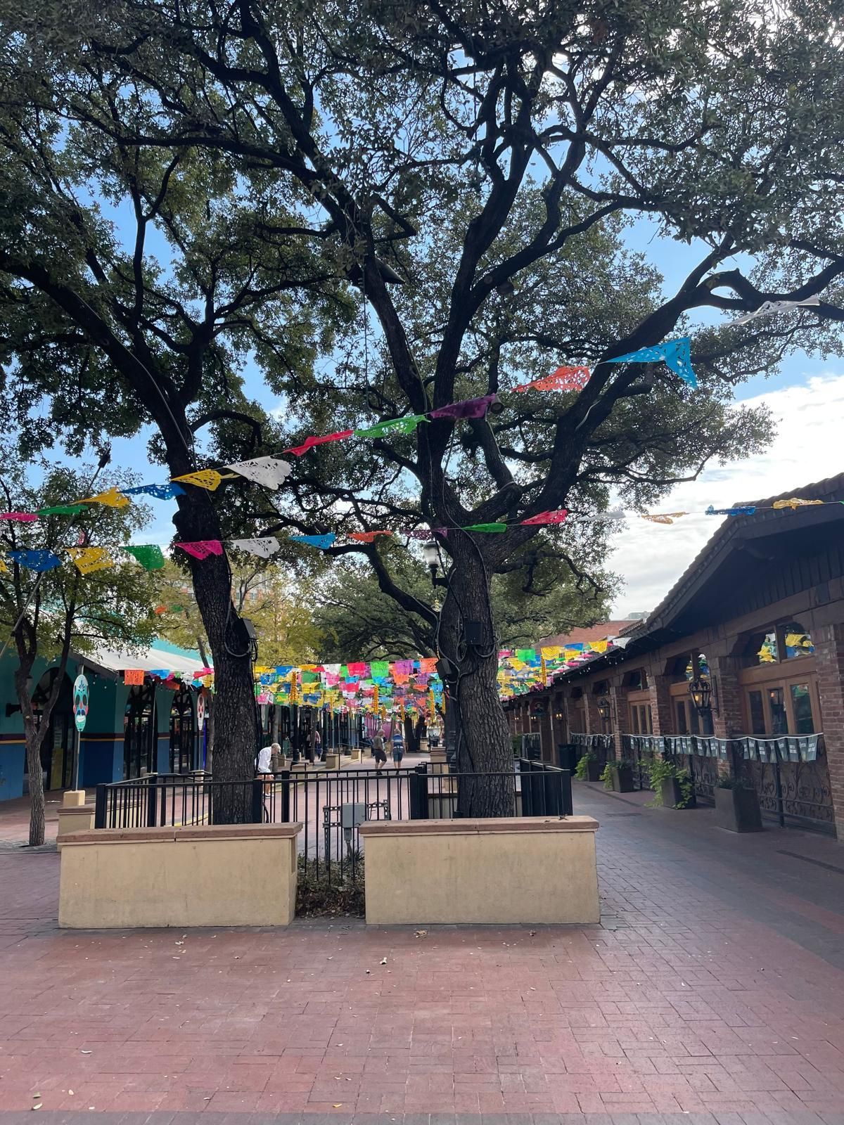 A tree with a bunch of colorful flags hanging from it