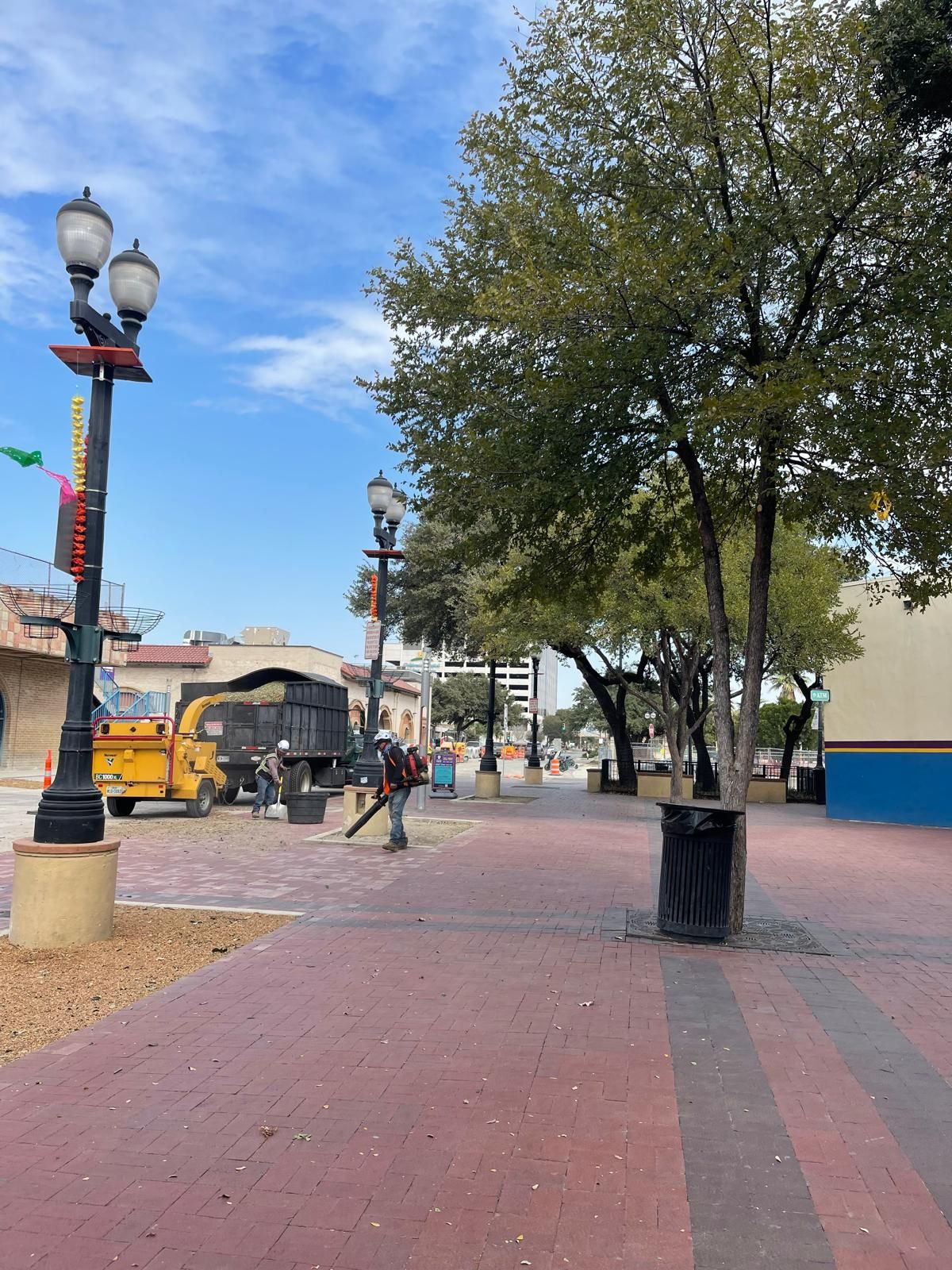 A tree in the center of a plaza