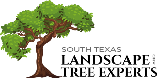 South Texas Landscaping and Tree Experts - logo