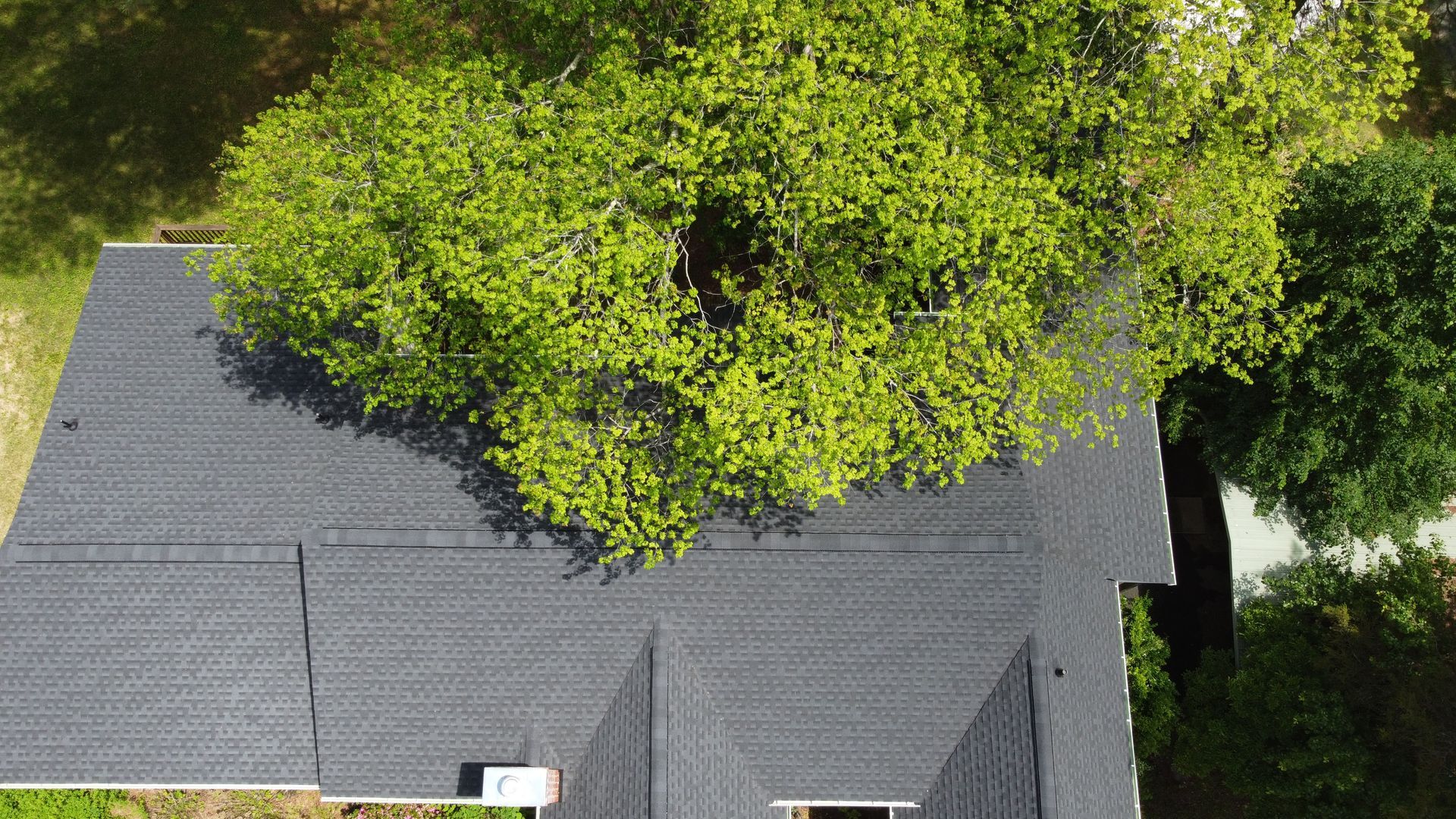 An aerial view of a house with a tree on the roof.