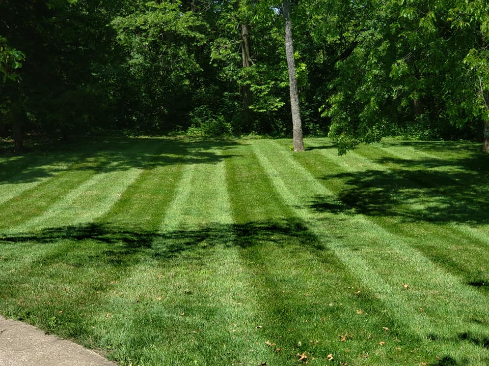 lawn care services lees summit mo