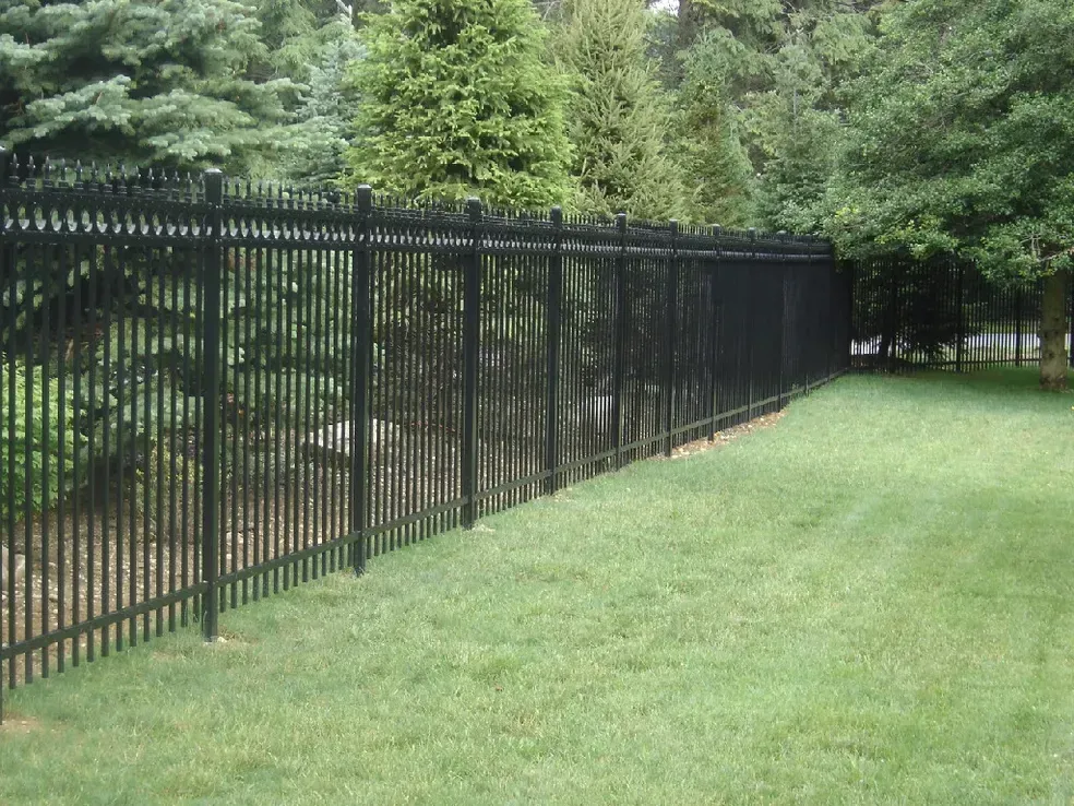 A black metal fence surrounds a lush green lawn.