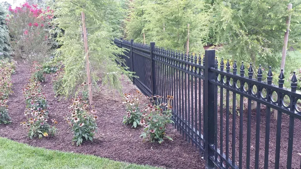 A black fence surrounds a garden with trees and bushes.