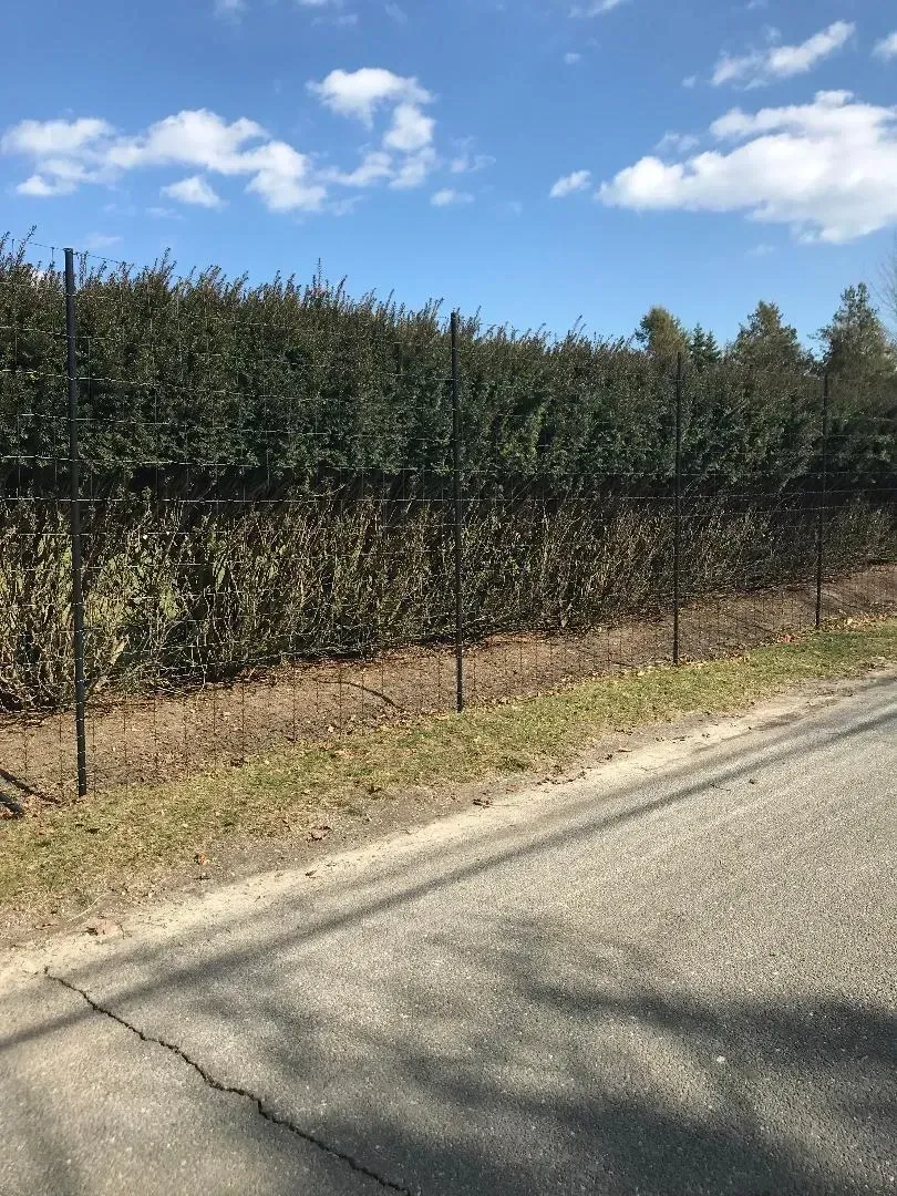 A fence surrounds a lush green field next to a road.