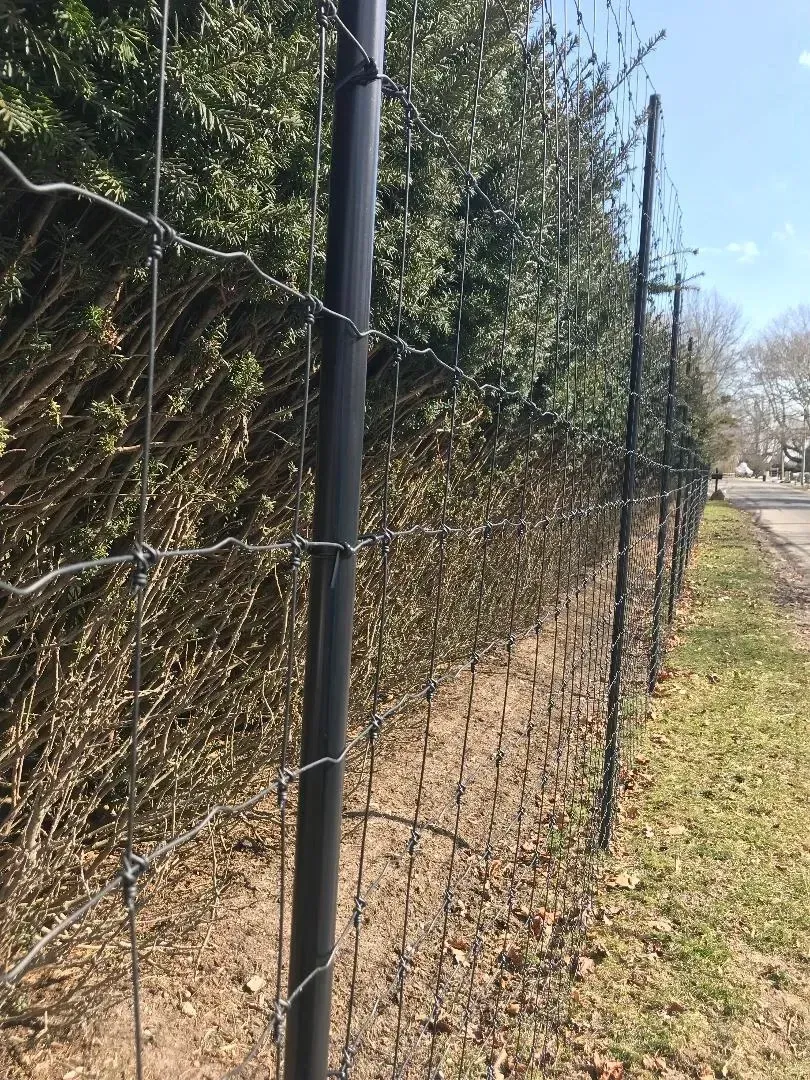 A barbed wire fence is surrounded by trees and grass.