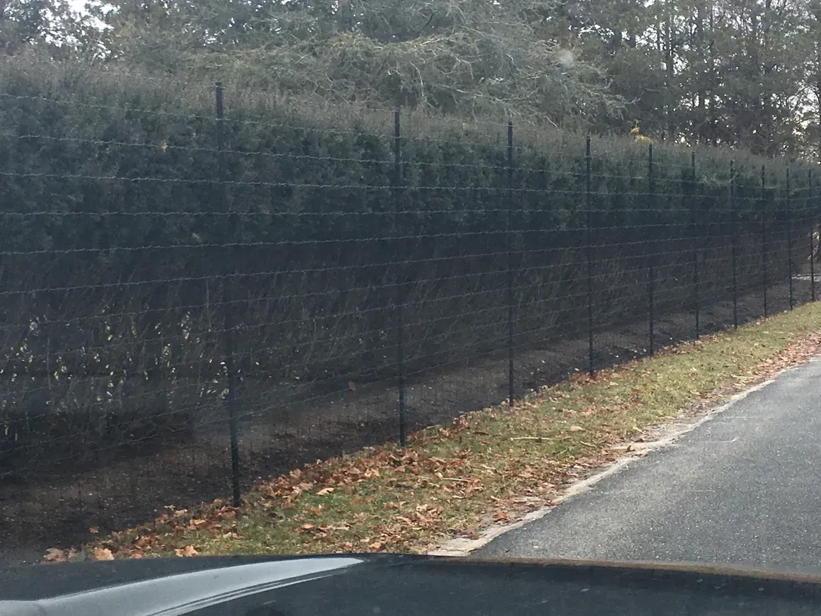 A black fence is along the side of a road.