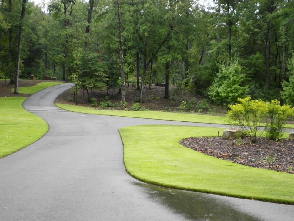 A curvy road going through a lush green forest.