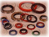 oil seals