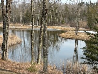 Ponds excavation