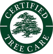 A dark green circular logo with a white silhouette of a tree in the center and the text "CERTIFIED TREE CARE" around it.