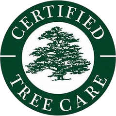 A dark green circular logo with a white silhouette of a tree in the center and the text "CERTIFIED TREE CARE" around it.