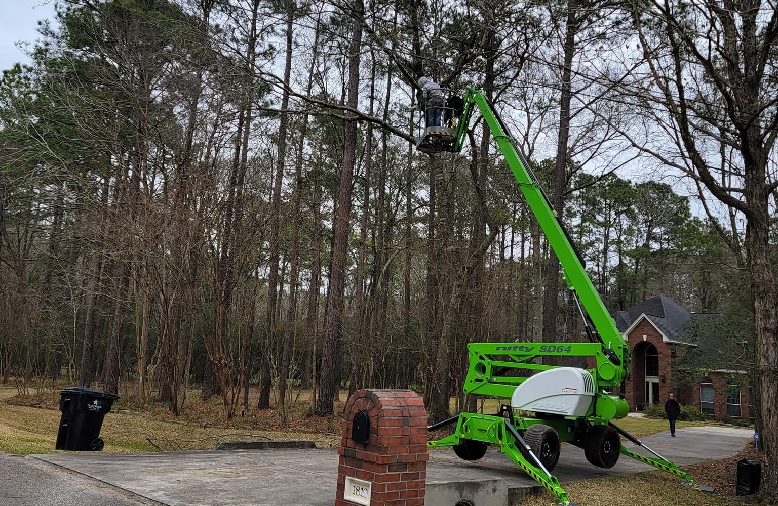 Tree Trimming