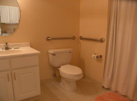 A bathroom with a toilet , sink , mirror and shower curtain.