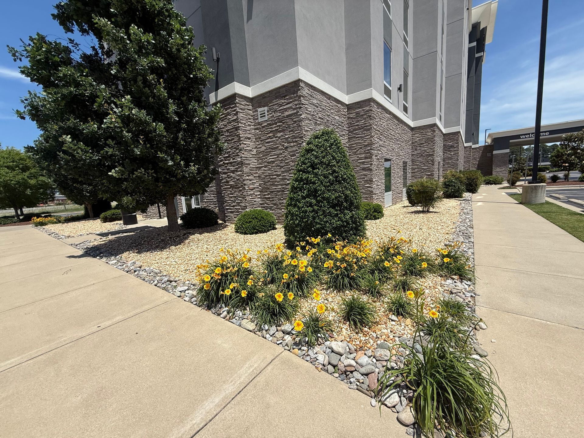 A sidewalk with flowers and trees in front of a building