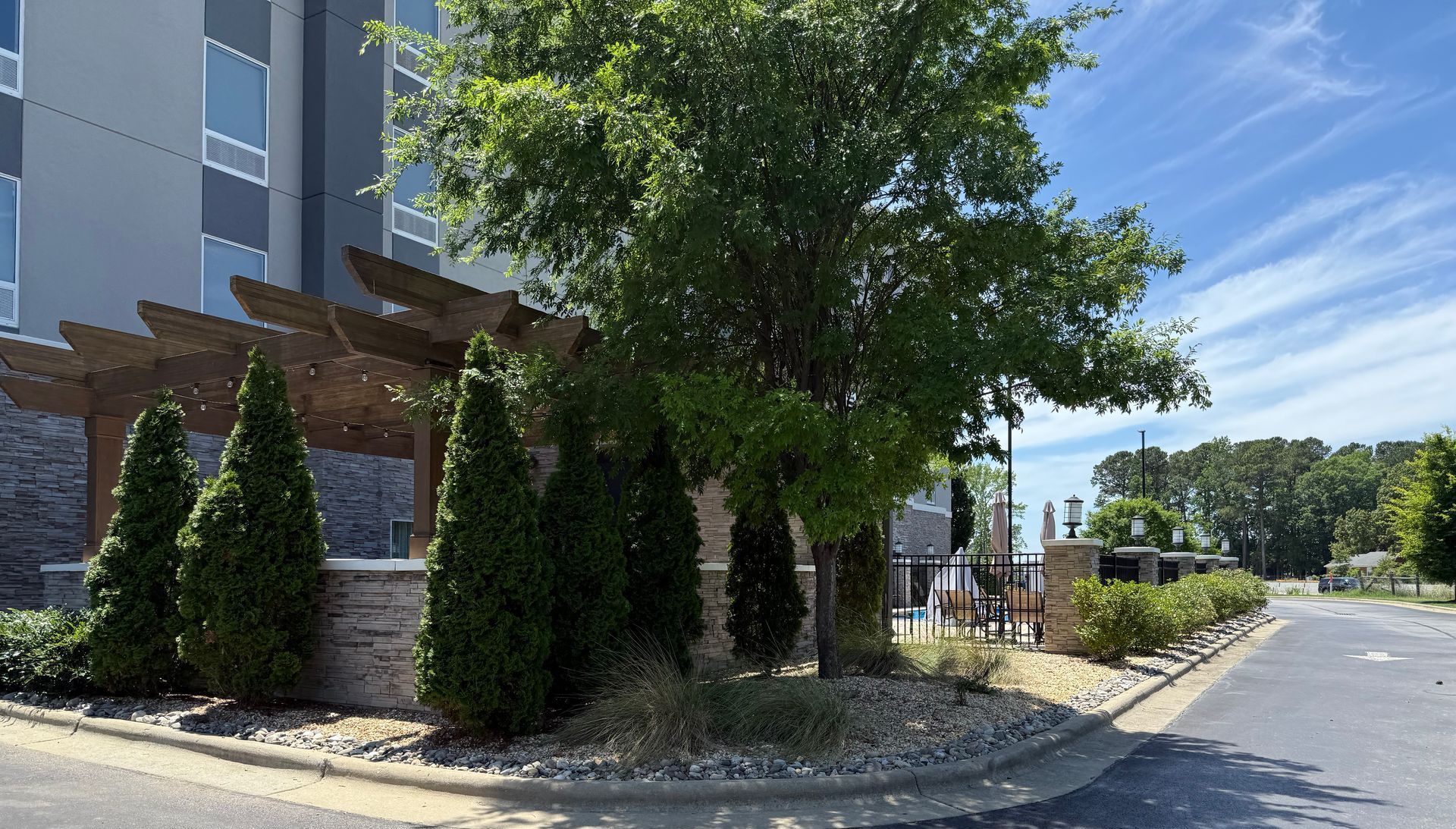 A tree is in the middle of a parking lot in front of a building.