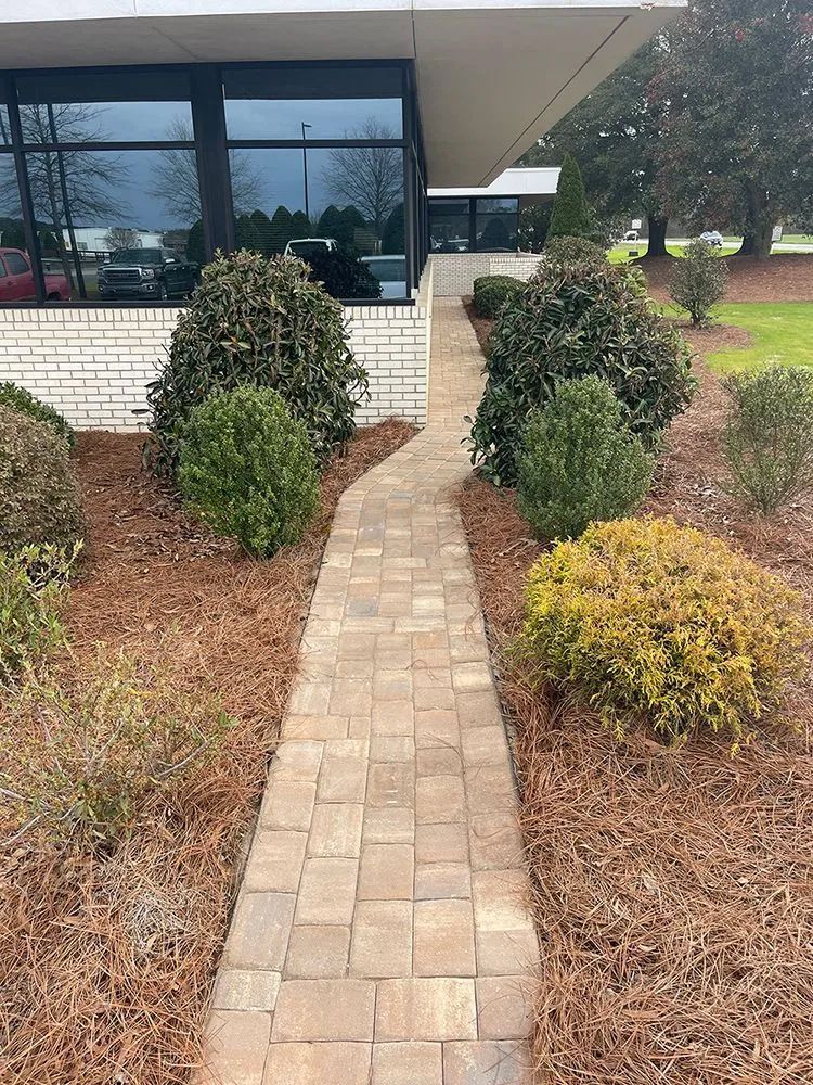 Paved walkway beside building