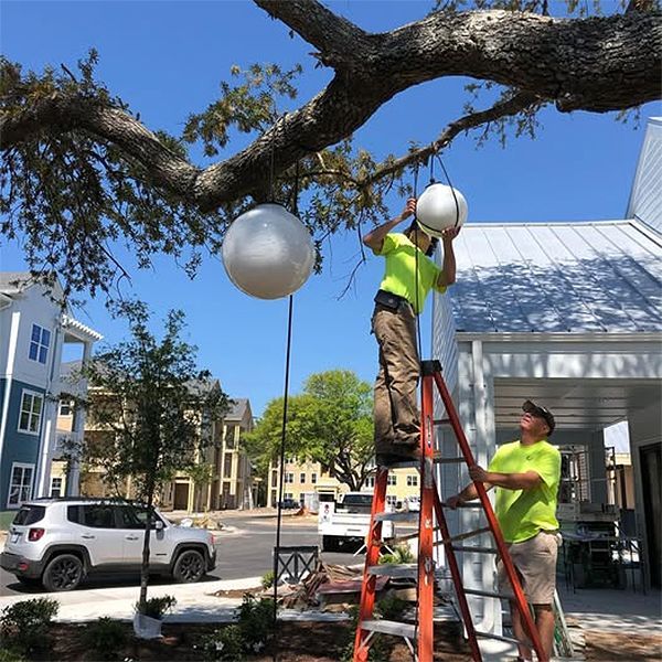 A man standing on a ladder installing a light bulb